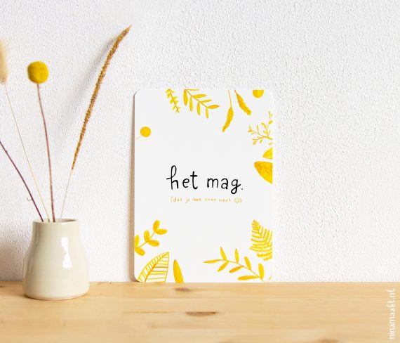 ninamaakt kaart 'Het mag'